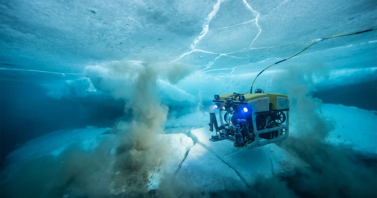 Robots Uncover Antarctic Sea Ice Decline Causes
