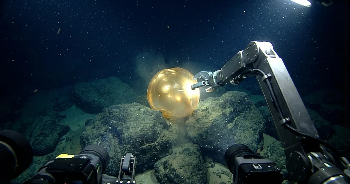 Scientists Identify ‘Golden Orb’ on Alaskan Seafloor