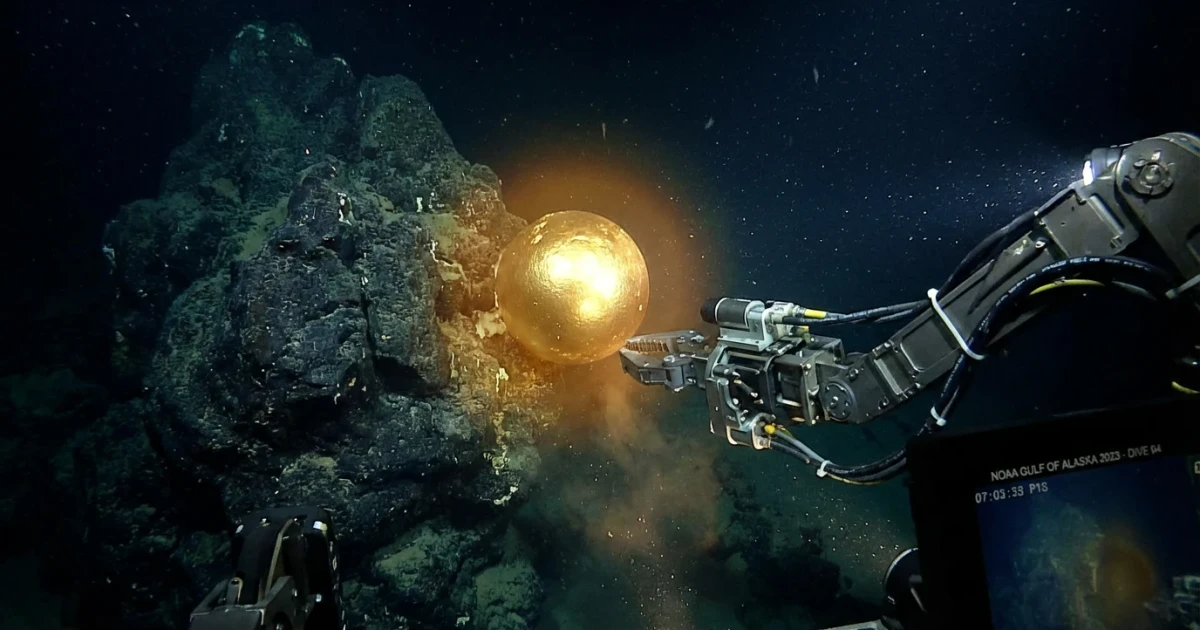 Scientists Identify Gulf of Alaska ‘Golden Orb’ Mystery