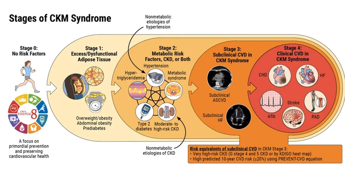 First-ever guideline targets cardiovascular-kidney-metabolic syndrome screening and treatment