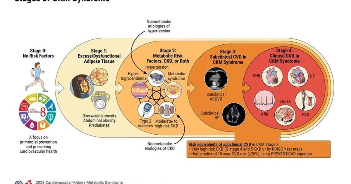 AHA, ACC issue first guideline for cardiovascular-kidney-metabolic syndrome