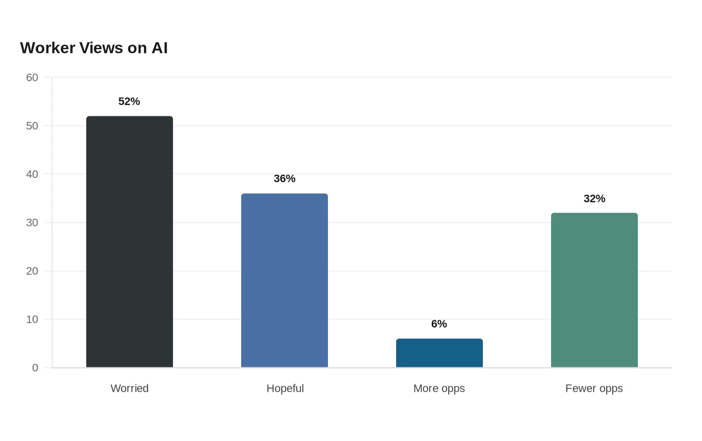 Worker Views on AI