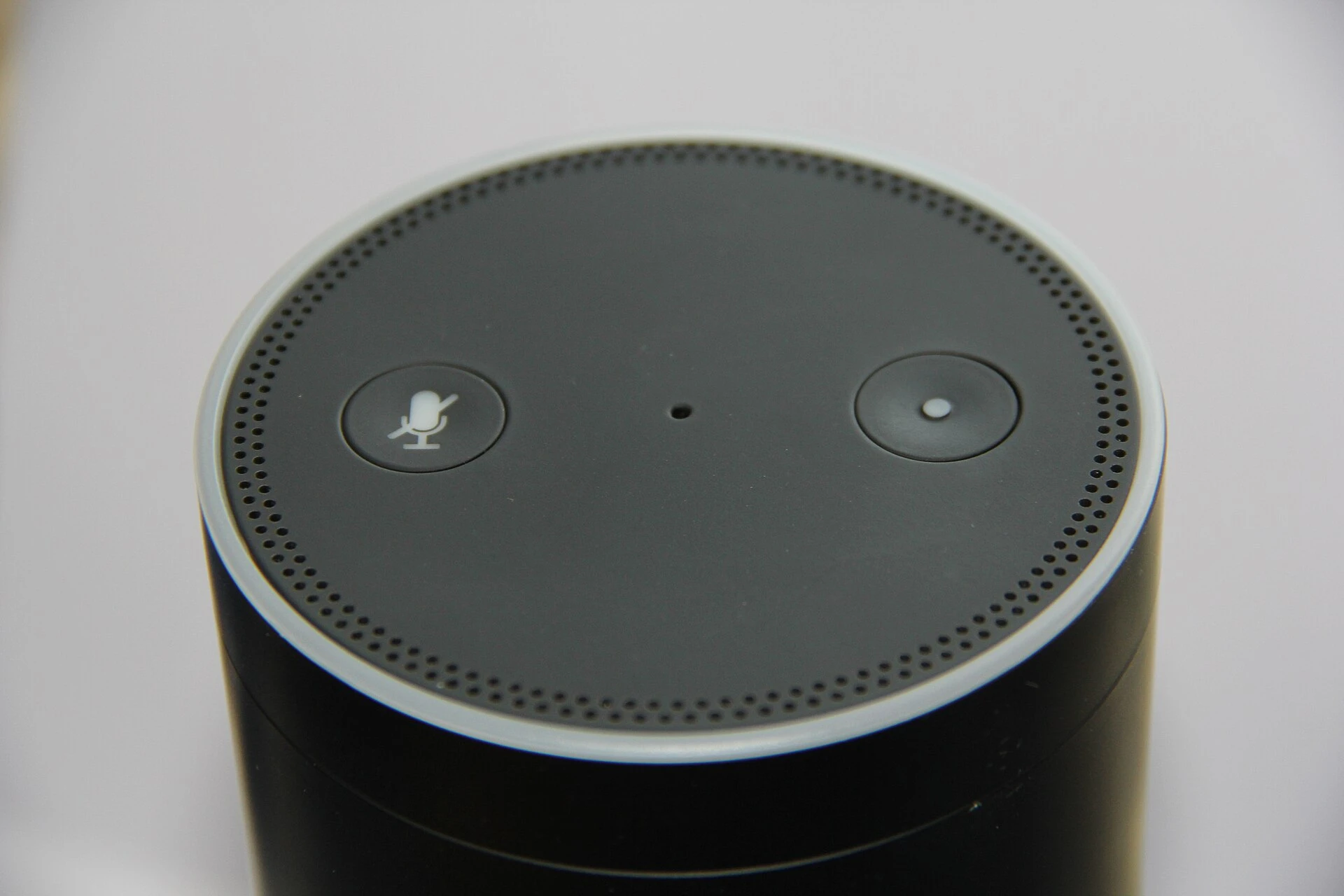 Amazon — Wikimedia Commons