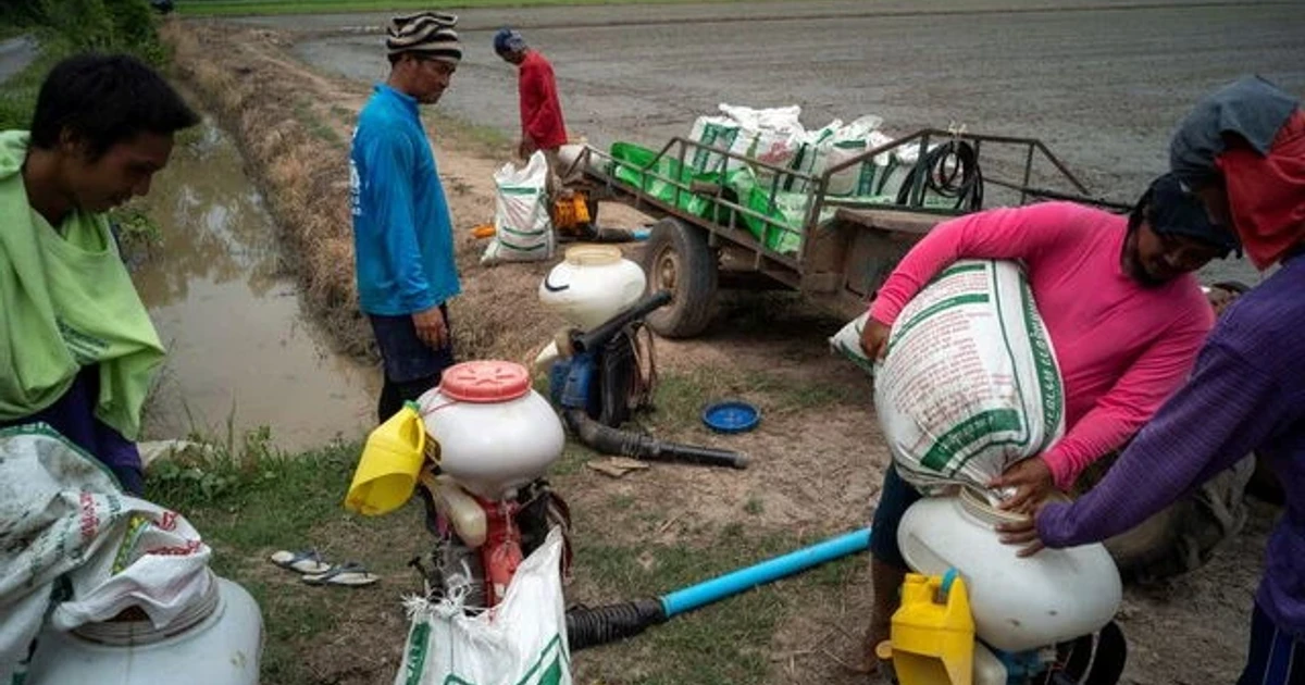 Thailand farm pain from war shock becomes test for Anutin government