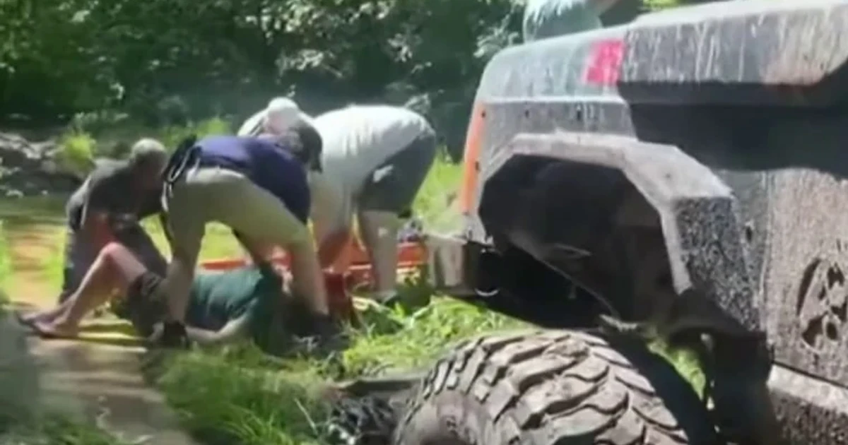 Missing Minnesota woman found alive, nearly submerged in mud