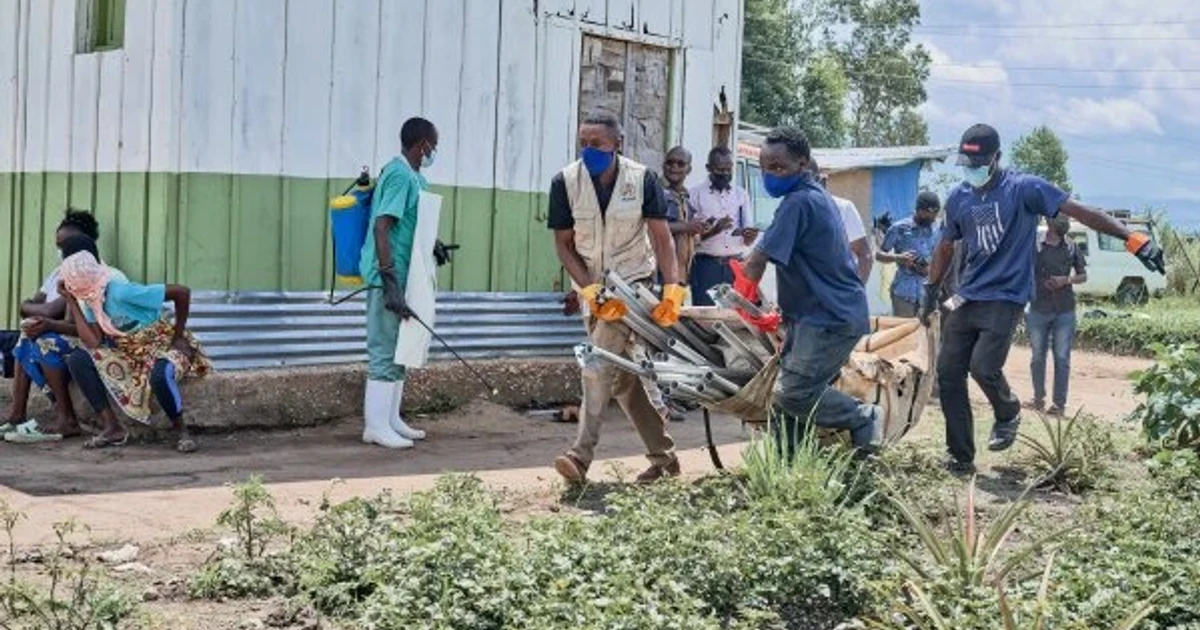 WHO launches trials of promising Ebola drugs amid Congo outbreak