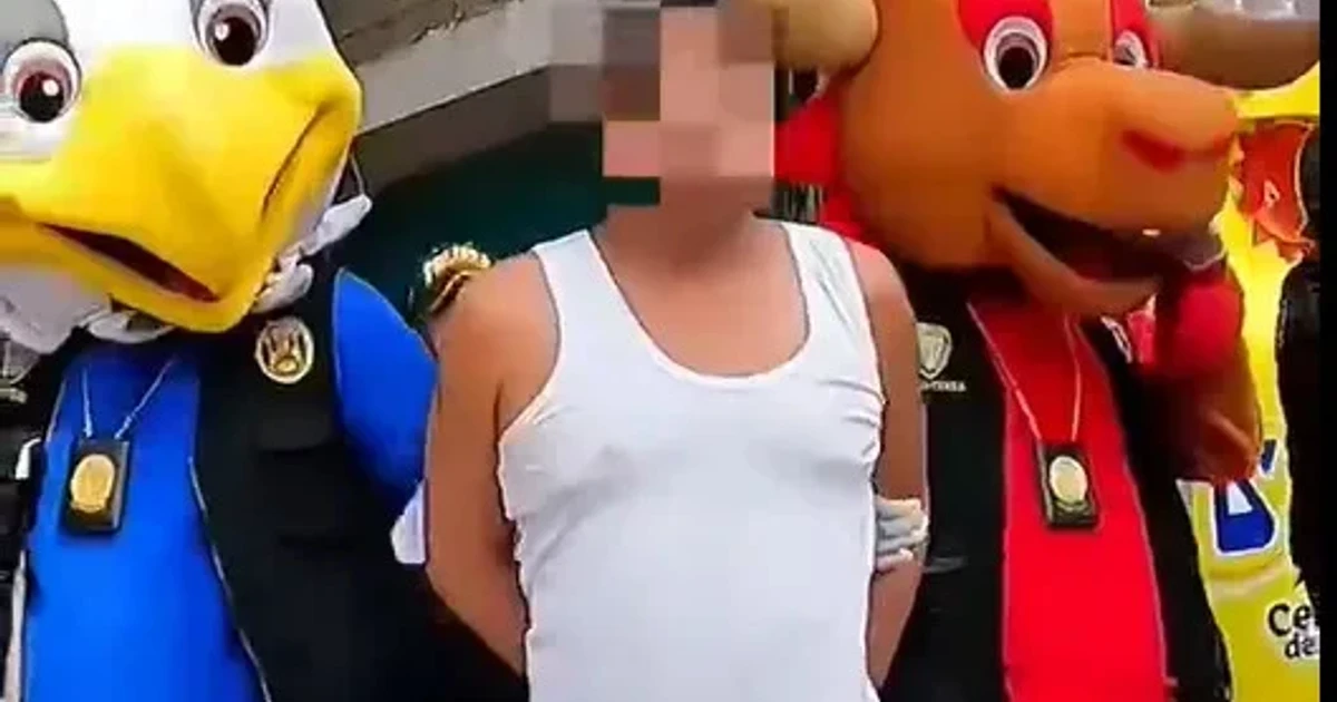 Peruvian police in World Cup mascot costumes arrest drug suspect