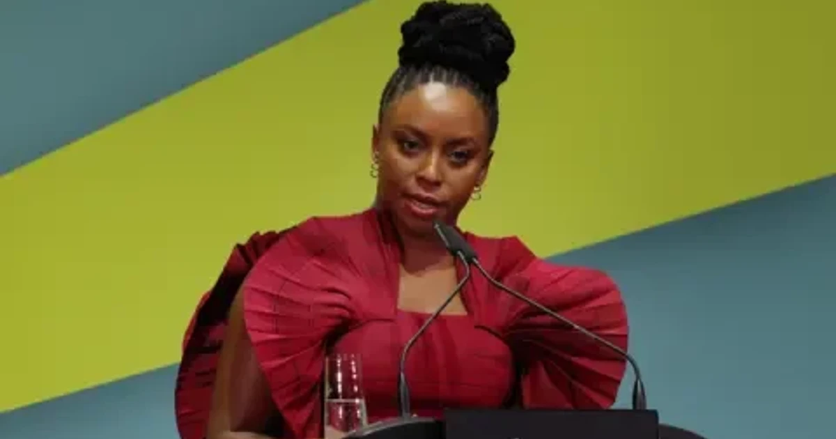 Adichie accuses Lagos hospital of stalling inquest into son’s death