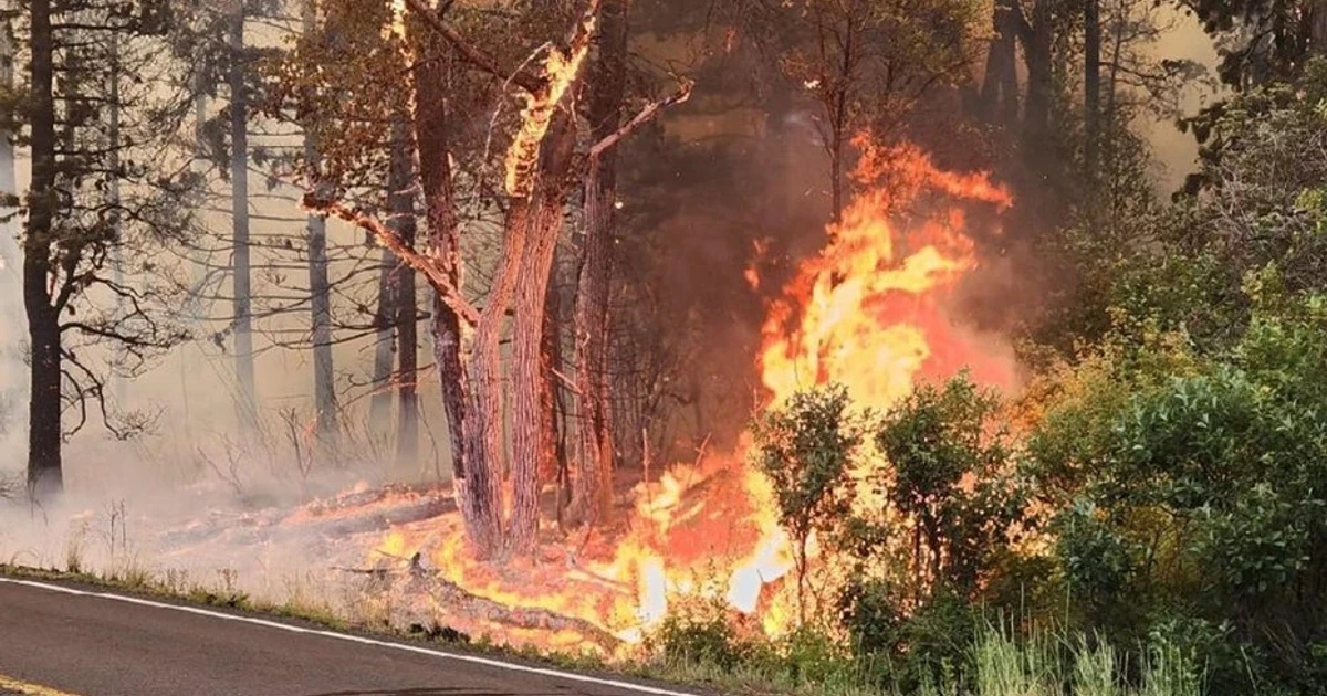 F/A-18 crash near Rimrock Lake sparks wildfire in Yakima County