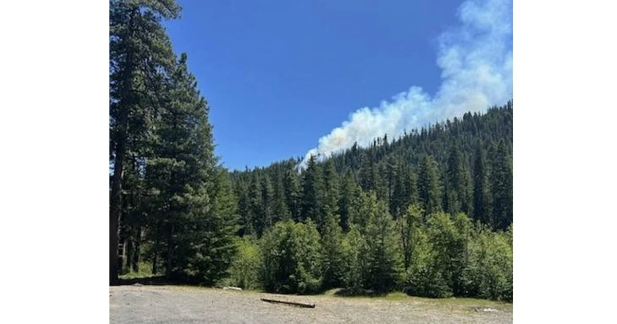Marine fighter jet crashes in Washington state, pilot escapes with minor injuries