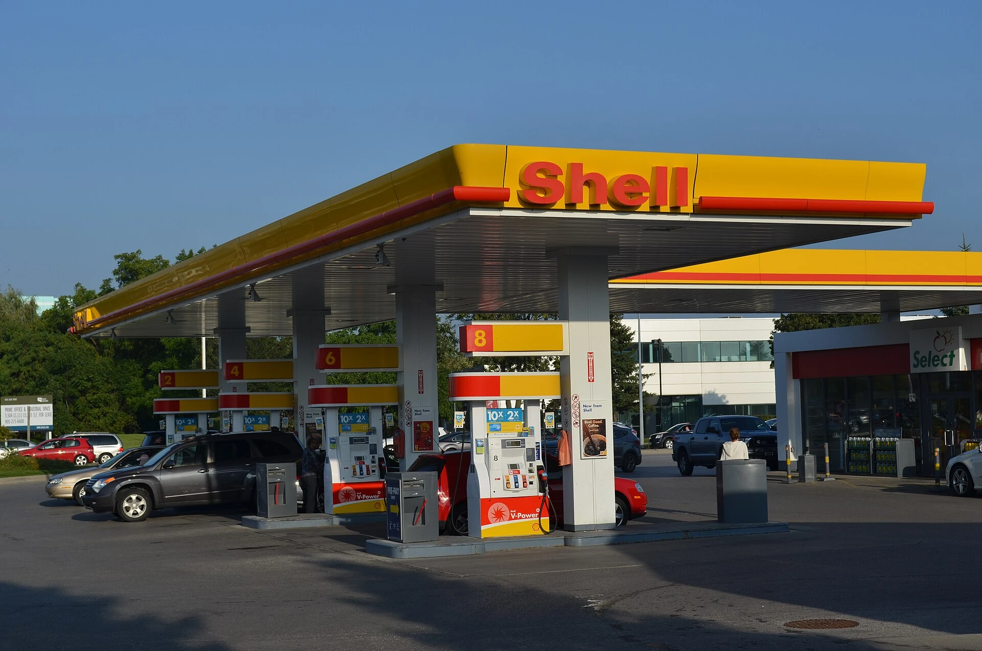 Shell — Wikimedia Commons