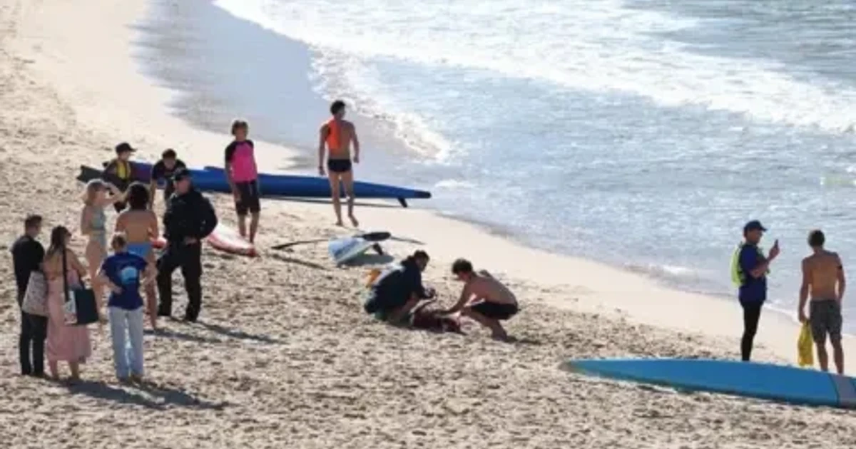 Woman critically injured in shark attack at Sydney’s Coogee Beach