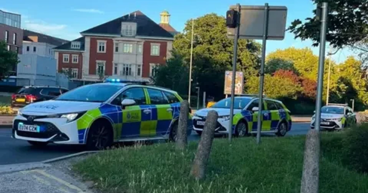 Three teenagers questioned after fatal assault in Chelmsford park