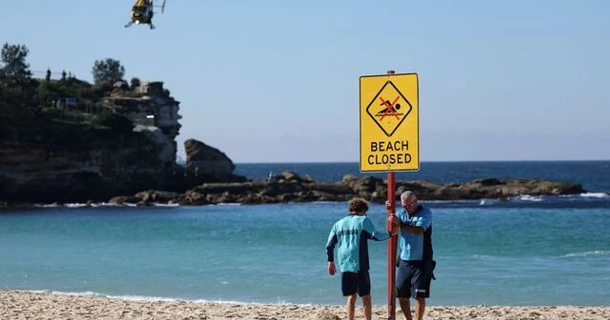 Sydney shark attack prompts review of drone rules over Coogee Beach