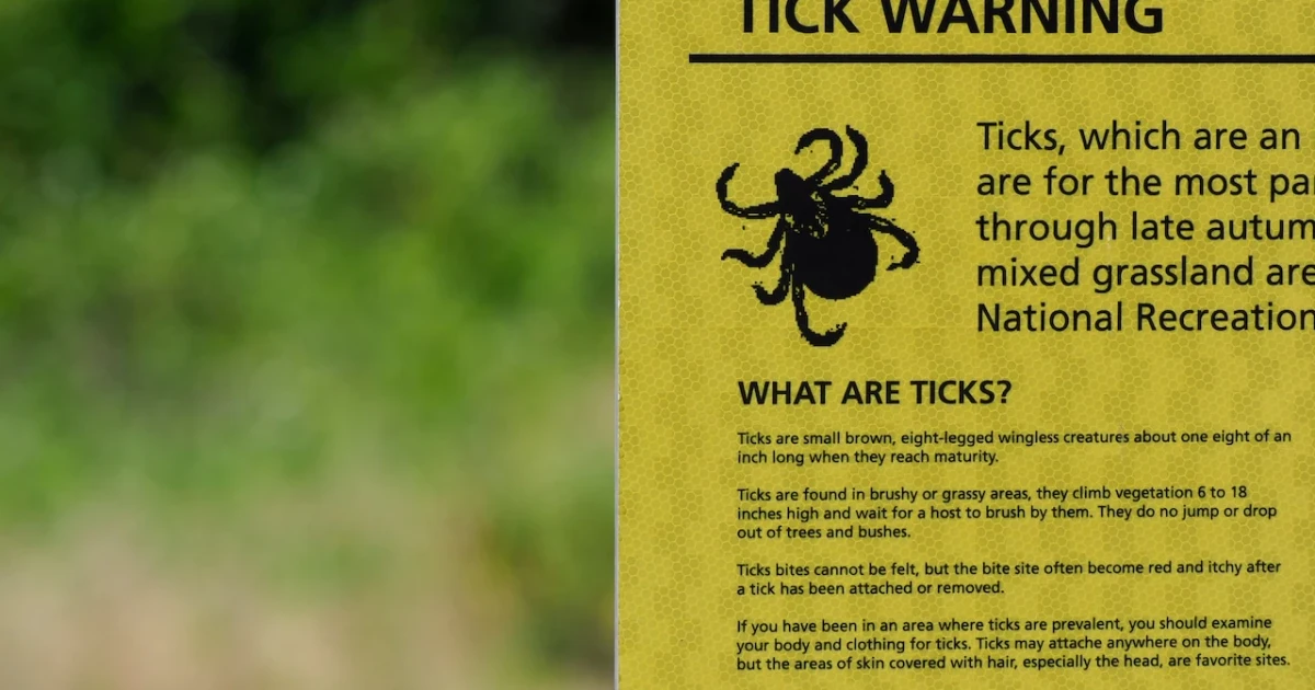 CDC warns tick-bite ER visits are surging across much of the US