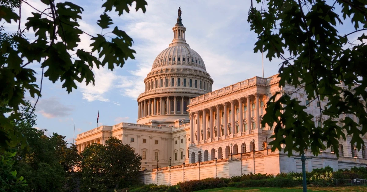 Senators plan bill to centralize federal fight against scams