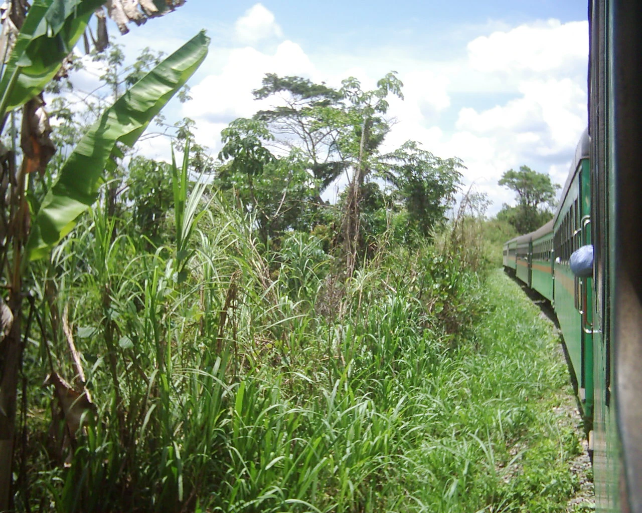 Democratic Republic of Congo — Wikimedia Commons