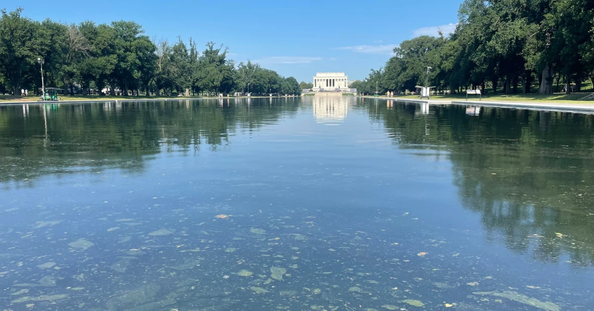 Algae returns to Lincoln Memorial Reflecting Pool after $14.2 million repair