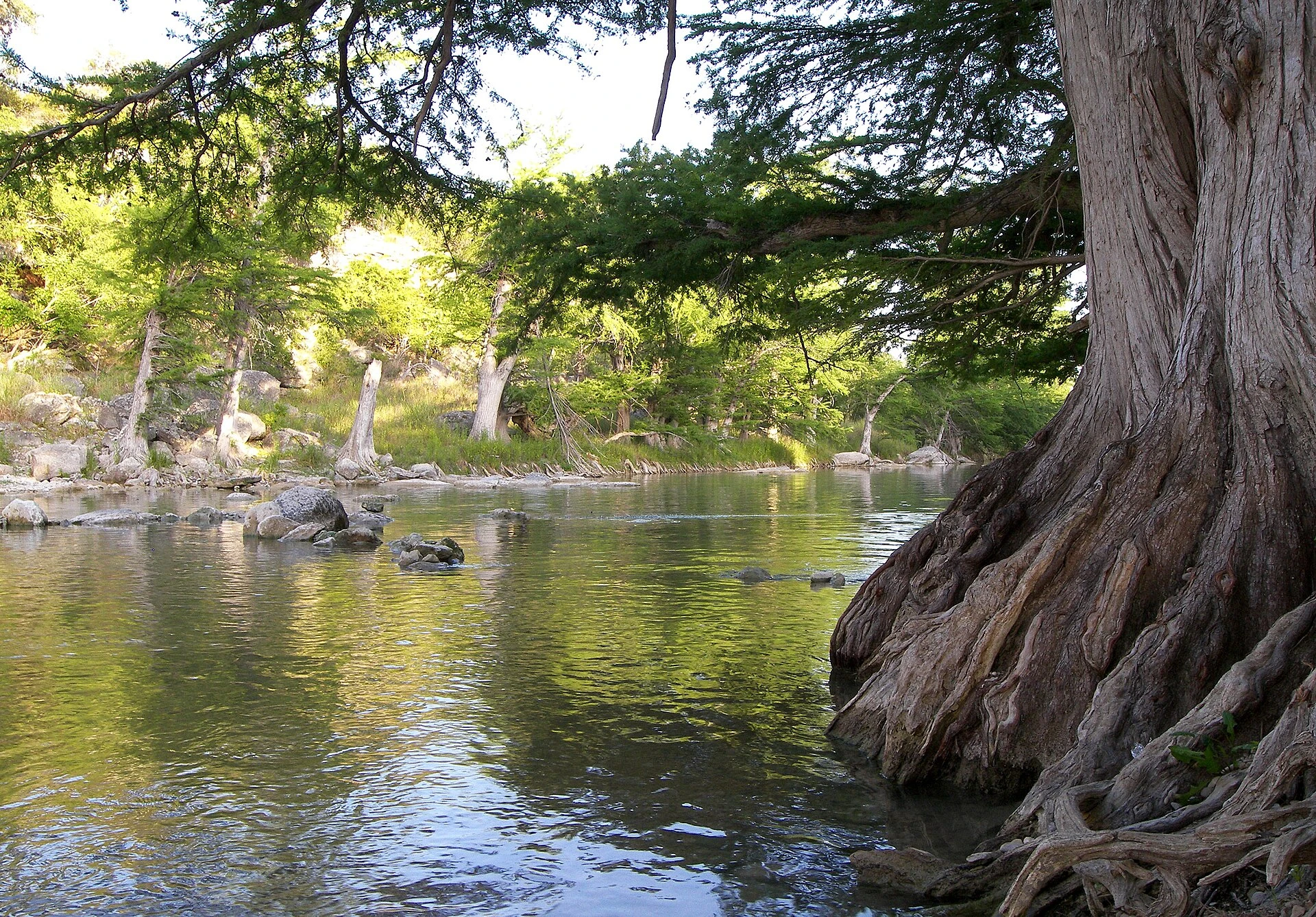 Guadalupe River — Wikimedia Commons