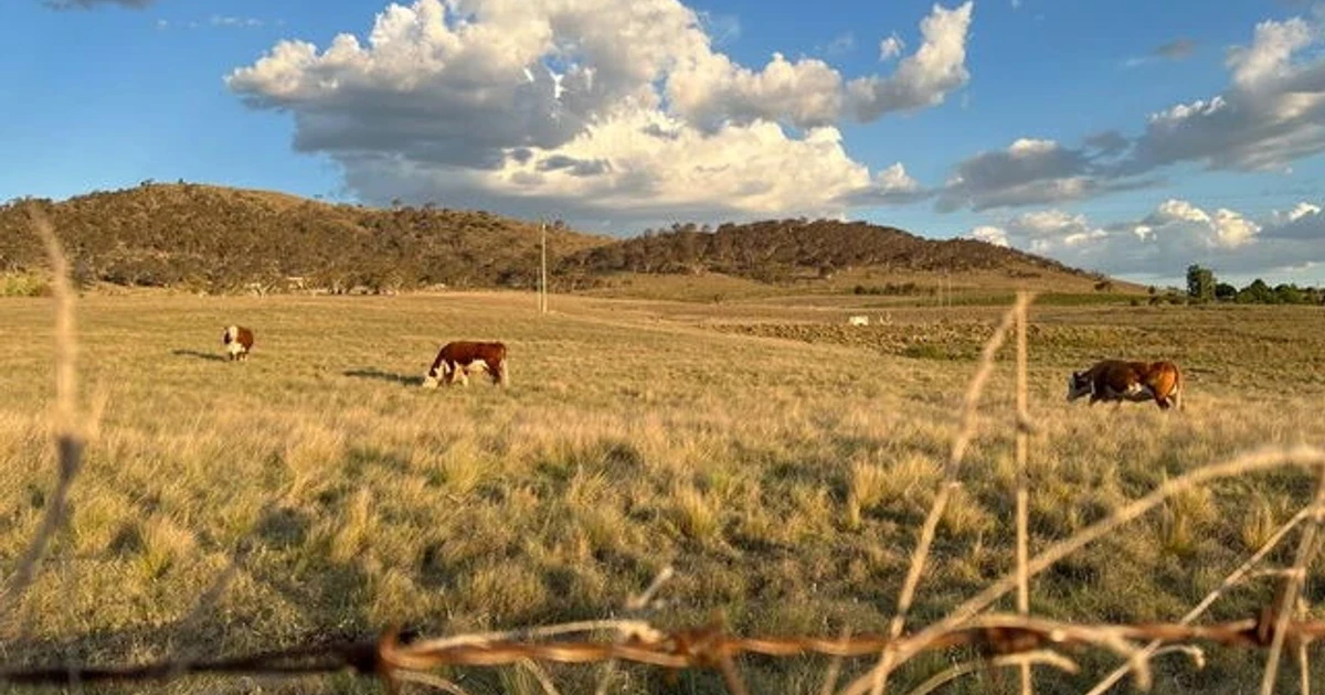 Australia warns strong El Niño underway in tropical Pacific