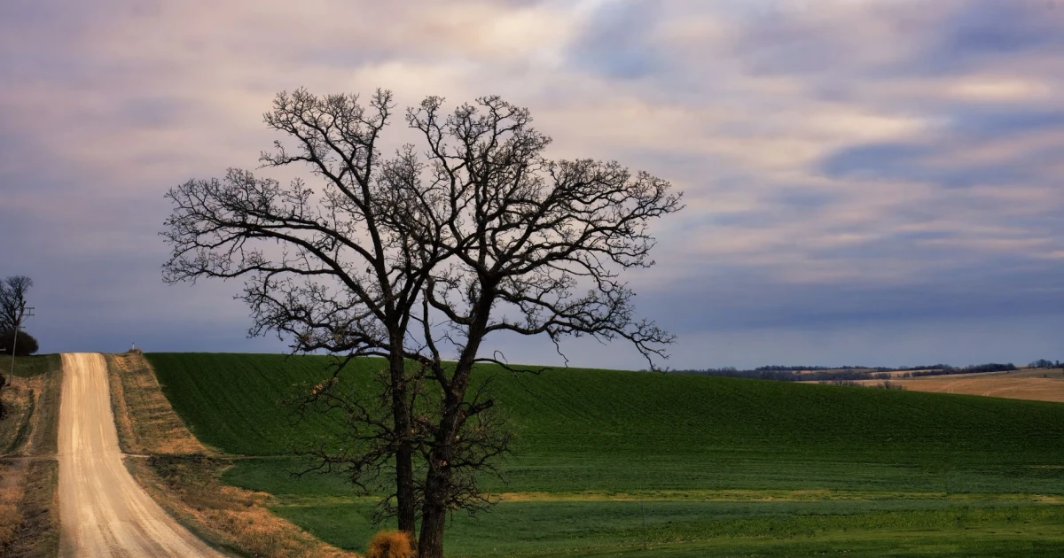 Jesse Welles explores Woody Guthrie’s protest anthem This Land Is Your Land