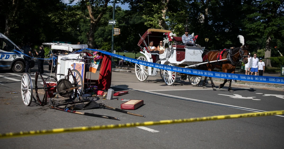 Teen tourist dies after Central Park horse carriage bolts and overturns