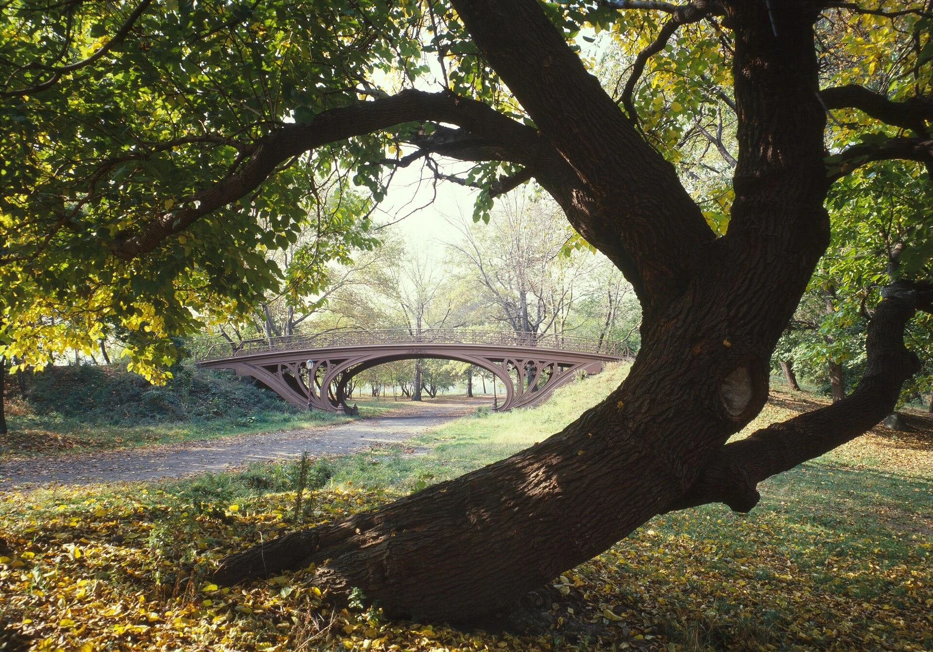 Central Park — Wikimedia Commons
