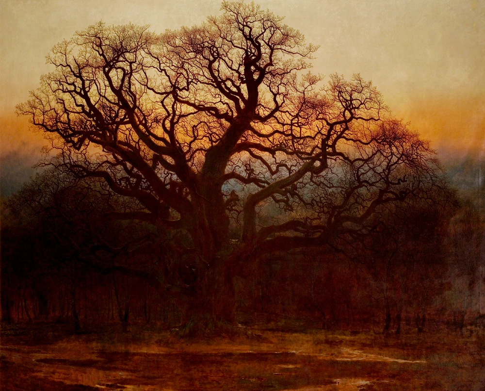 Major Oak — Wikimedia Commons