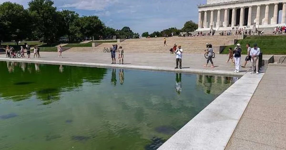 Reflecting Pool algae returns in Washington, DC, prompting cleanup push