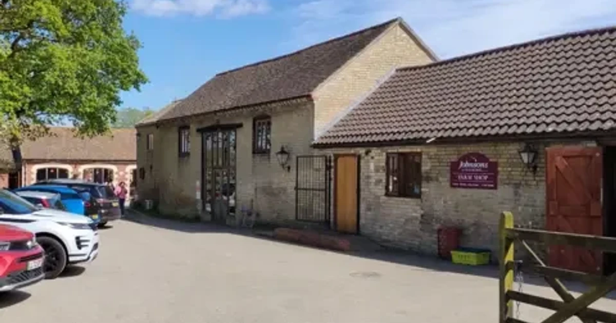 Man arrested after boy critically injured in crocodile enclosure at zoo