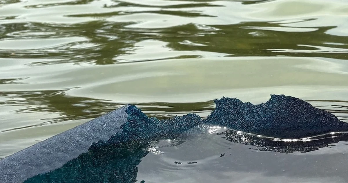 Lincoln Memorial Reflecting Pool’s blue coating is peeling, drawing criticism