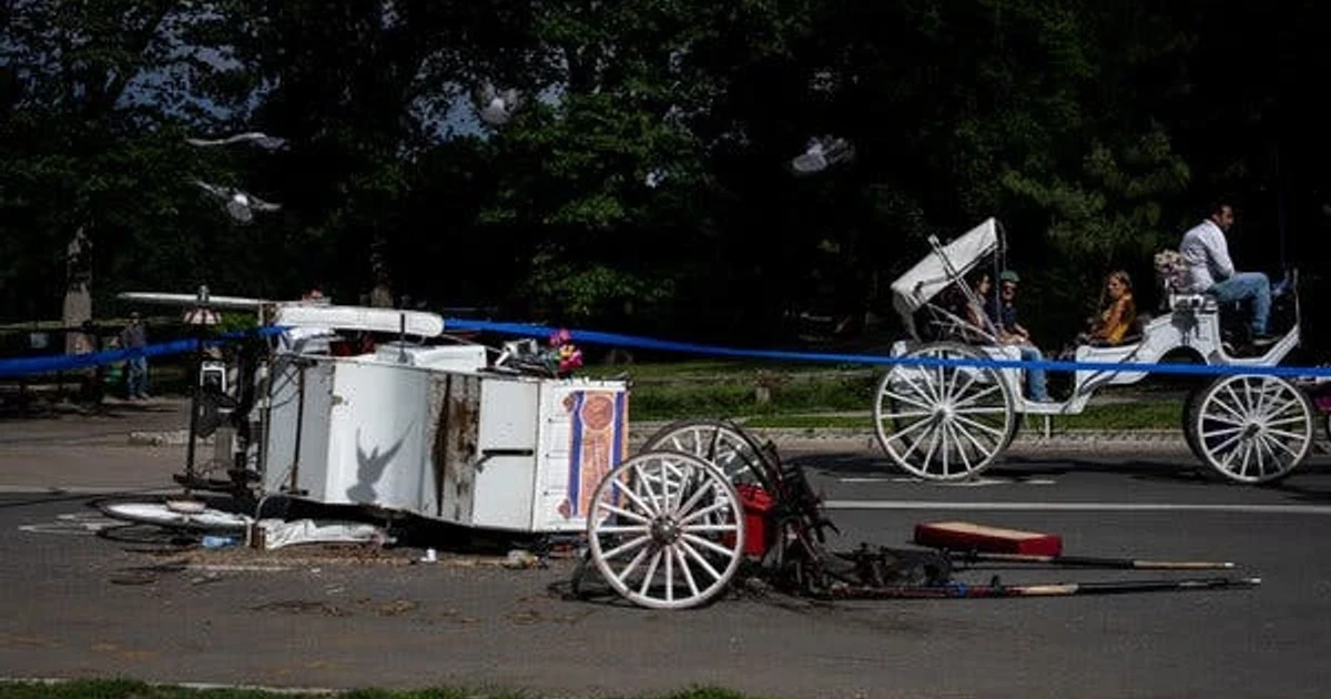 Teen tourist dies after Central Park carriage horse crash