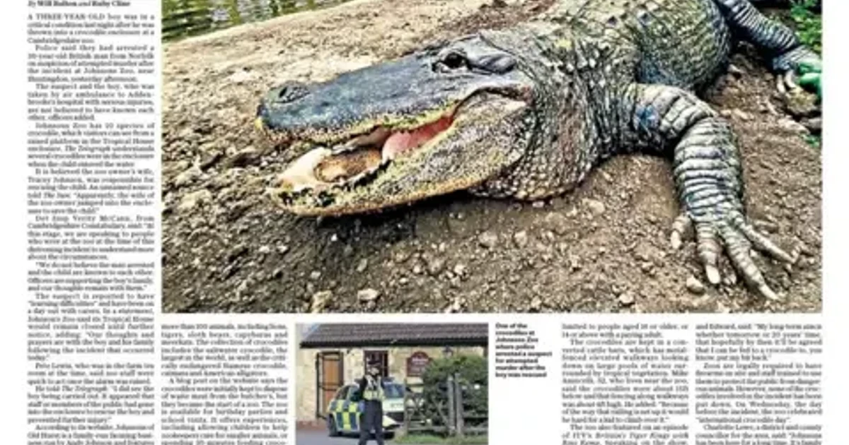 Boy critically injured after falling into crocodile enclosure at Cambridgeshire zoo