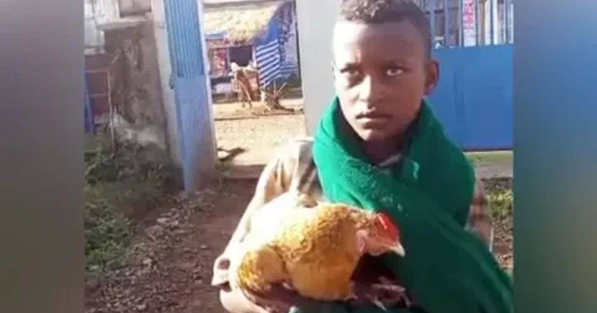 Ethiopian boy rushes sick chicken to hospital, video goes viral