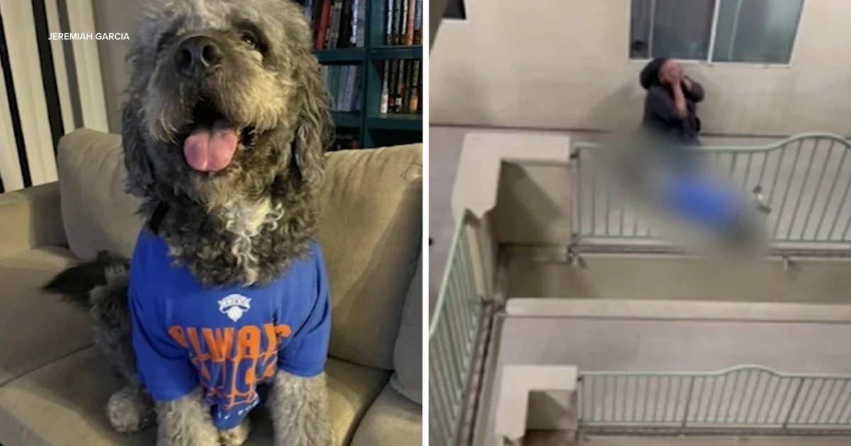LAPD releases bodycam video of dog shooting during Knicks celebration
