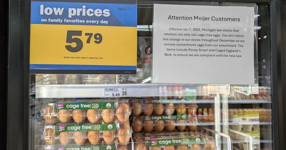US egg prices plunge as flock rebounds, consumers may see little relief