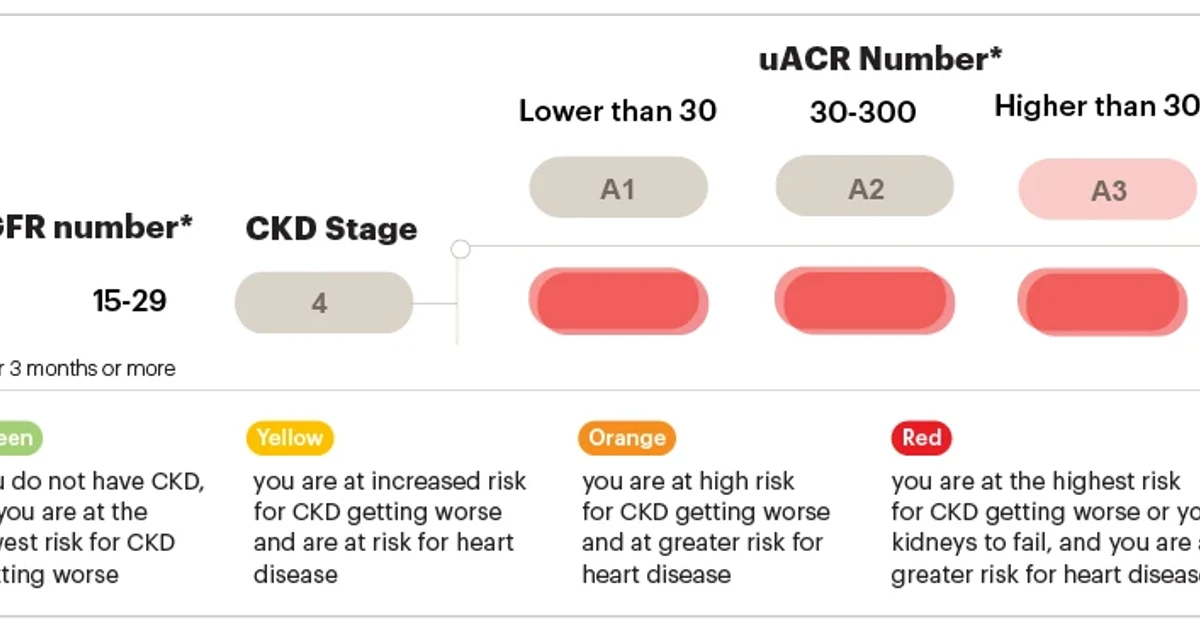 App notification reveals New York man’s stage IV kidney cancer