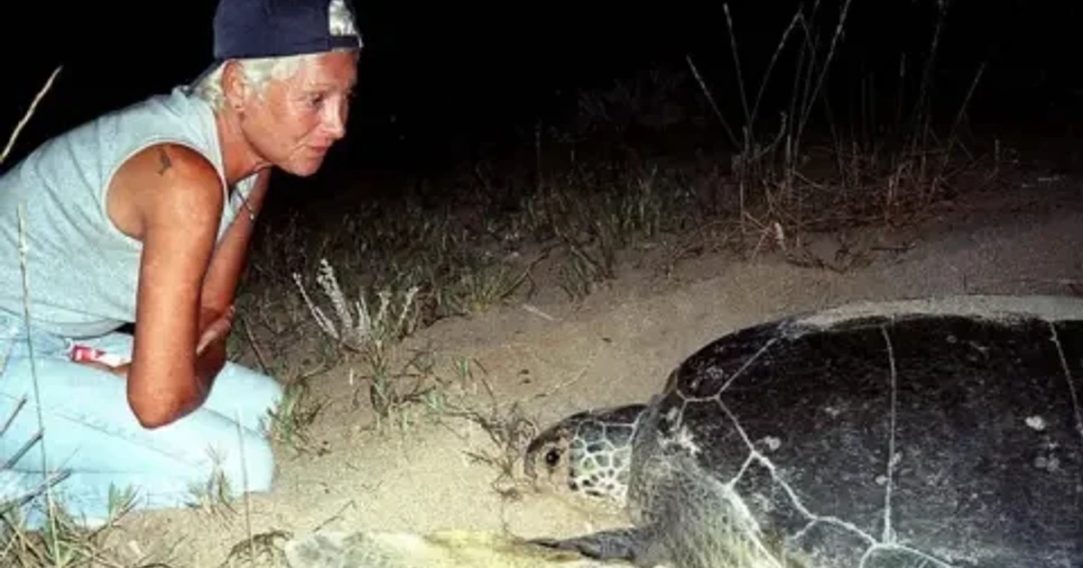 Lebanon turtle conservation pioneer Mona Khalil dies after Israeli strike