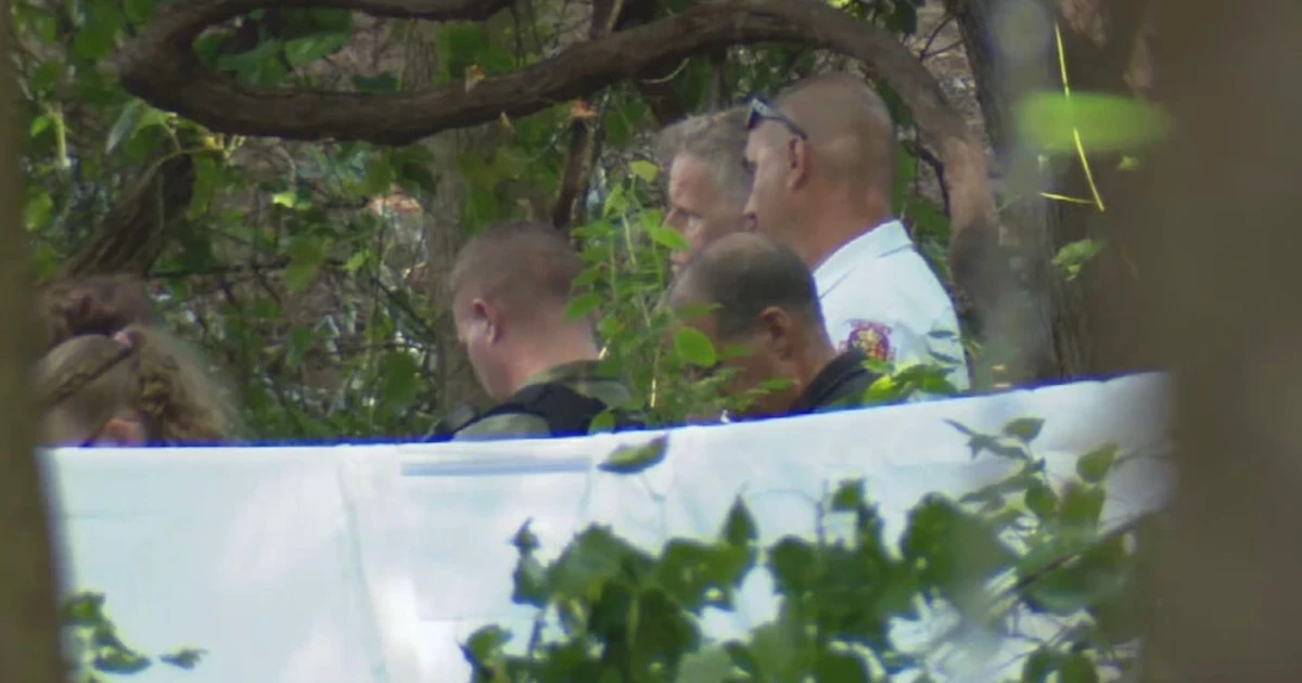 Three killed as small plane crashes in Bowie, Maryland