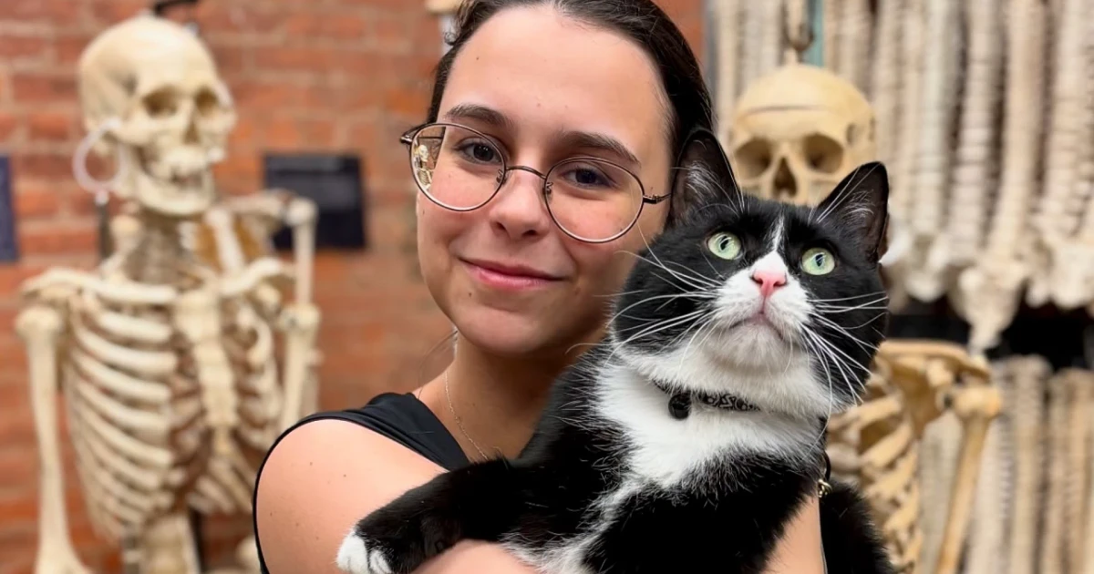 Bone Jovi the cat becomes head of security at Brooklyn Bone Museum