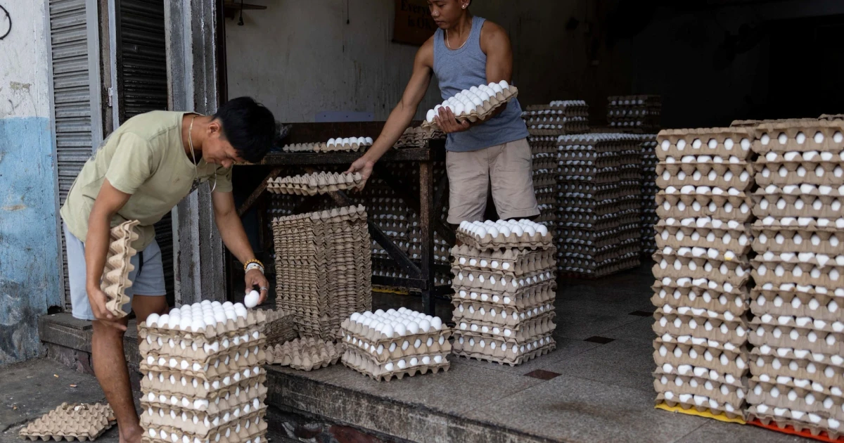 Philippines cuts 2026 growth outlook as energy crisis bites
