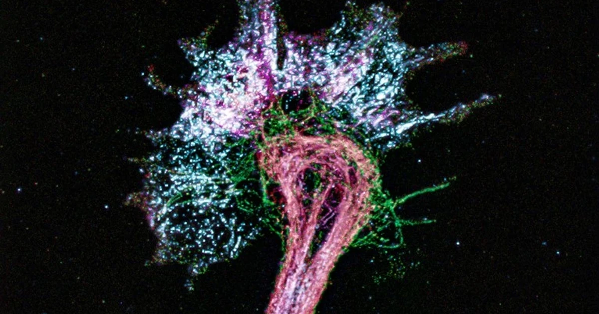Simple microscopes get a billionfold boost, pinpoint amino acids