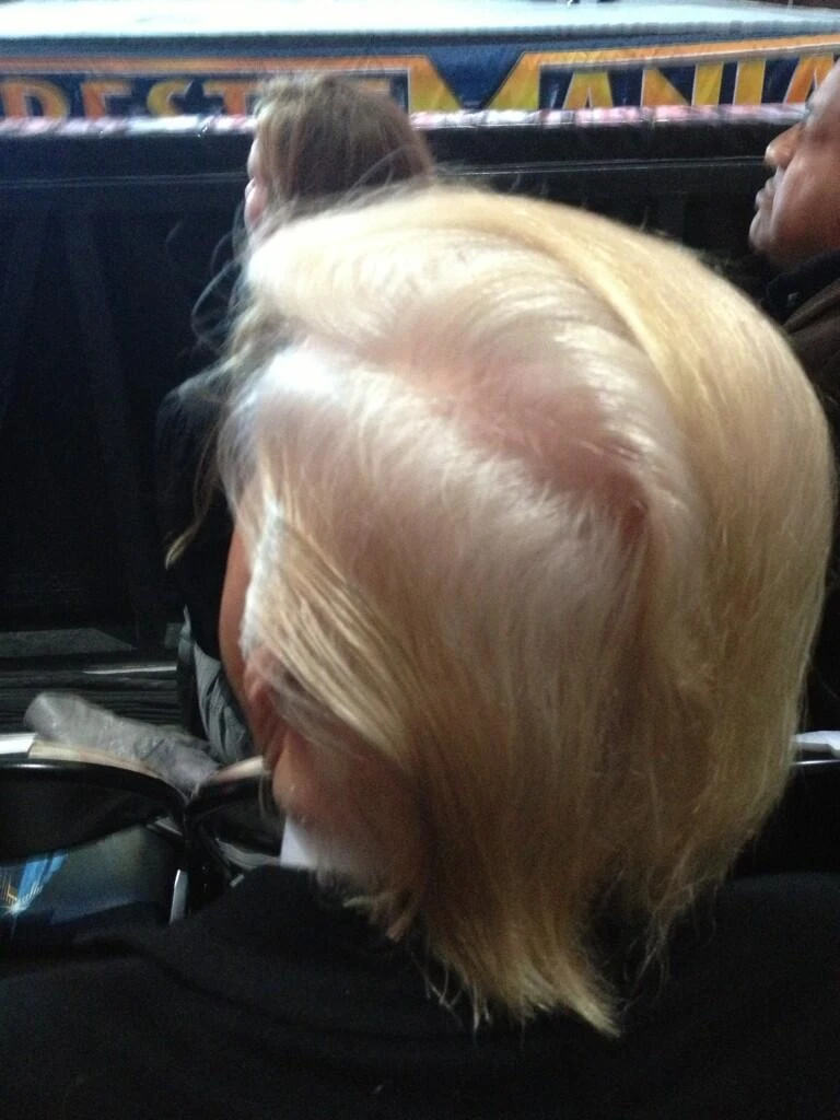 Donald Trump — Wikimedia Commons