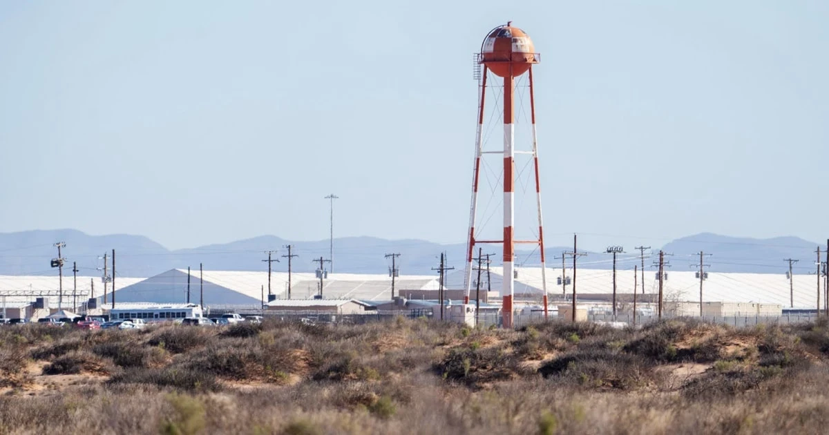 DHS watchdog launches reviews of ICE detainee deaths and detention standards