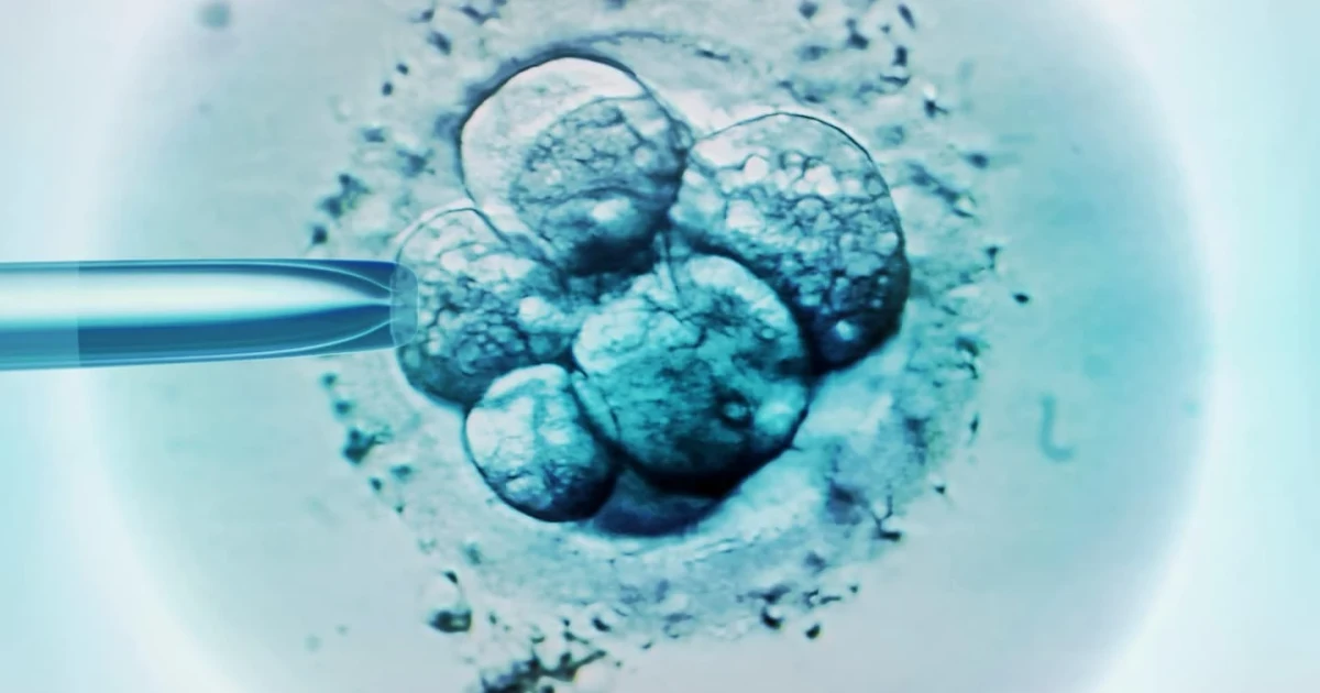 CRISPR embryo editing revives debate over designer babies and ethics