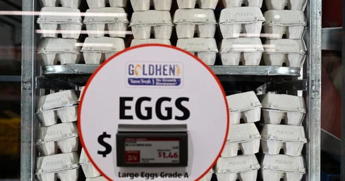 Cal-Maine and egg suppliers near settlement in price-fixing probe