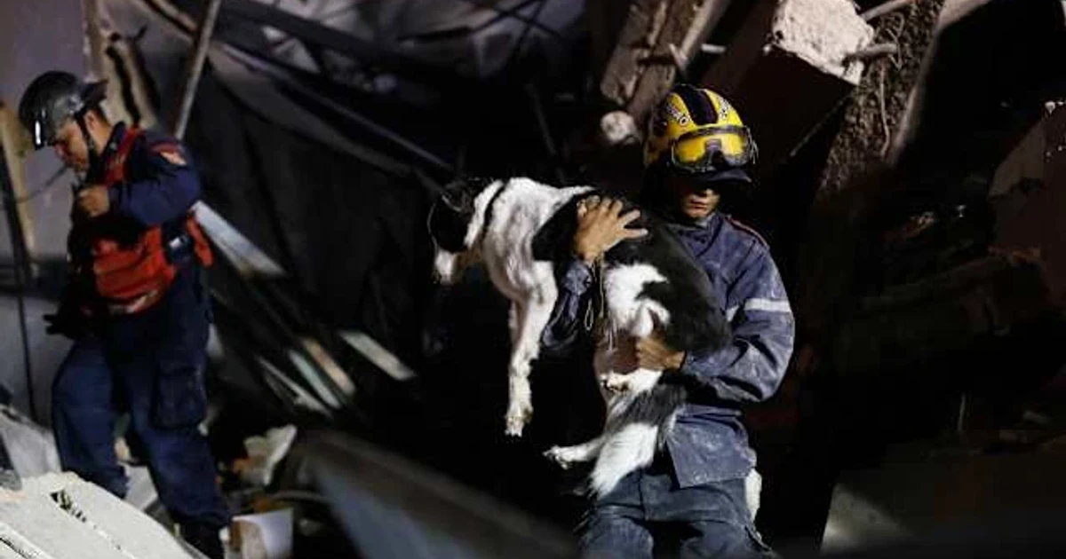 Venezuela quake doublet collapses buildings in La Guaira, kills 235