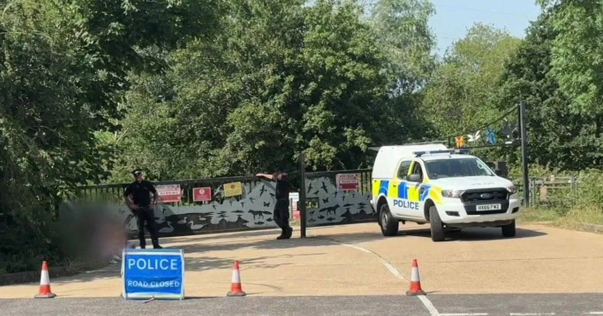Body of missing 15-year-old found in Hampshire lake search