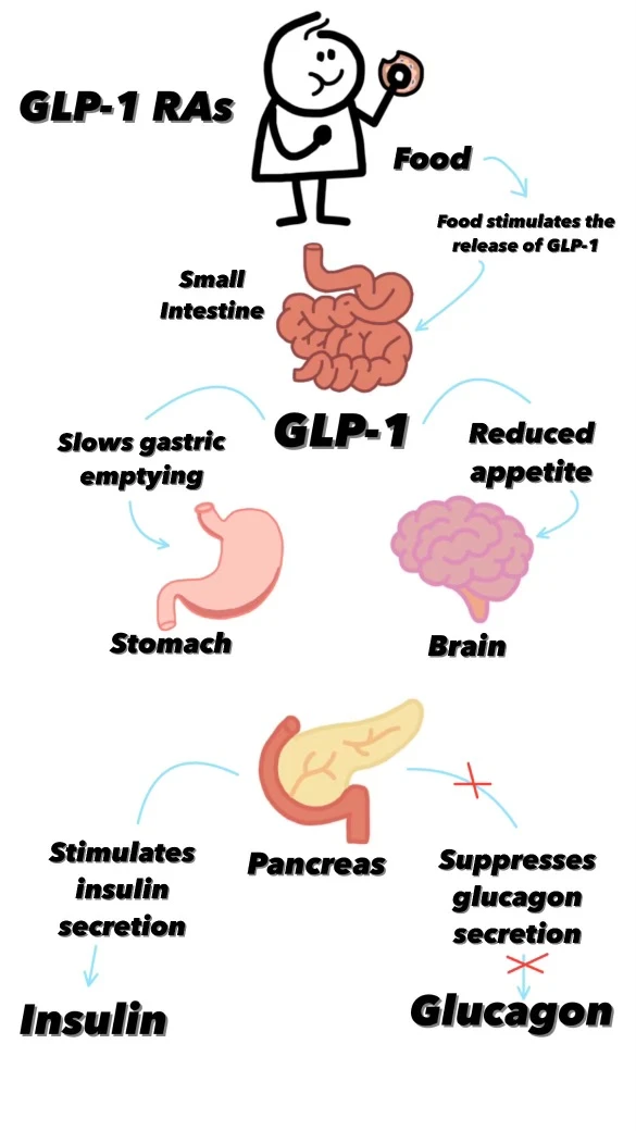 GLP-1 receptor agonists — Wikimedia Commons
