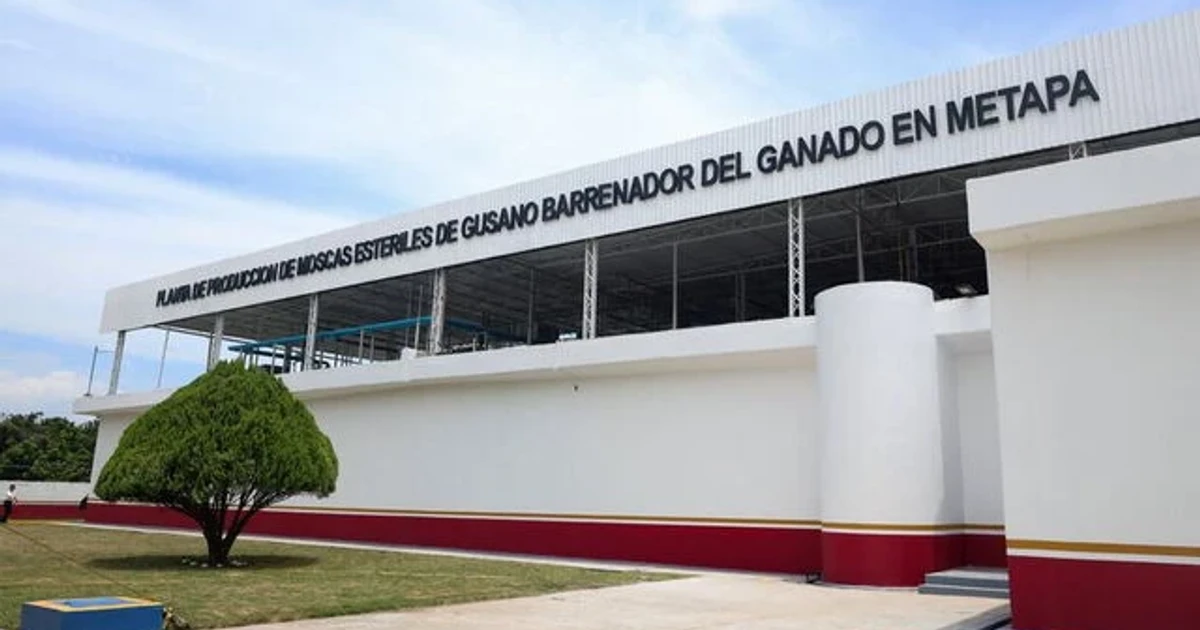 Mexico and US open sterile fly plant to fight screwworm